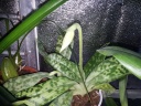20131216_091035.jpg