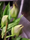 20140118_191755.jpg