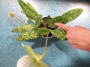 20140124_184302.jpg