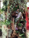 20140308_121053.jpg