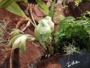 20140308_121846.jpg