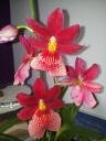 20140313_175817.jpg