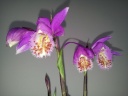 20140319_114253.jpg