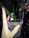 20140402_081612.jpg