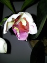 20140411_071035.jpg