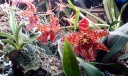 IMAG0608-1.jpg