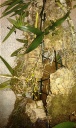 IMAG0616.jpg