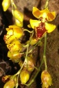 IMAG0625-1.jpg