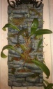 IMAG0672-1.jpg