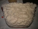 IMAG0677-1.jpg