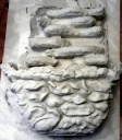 IMAG0678-1-1.jpg