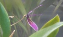 IMAG0680-1.jpg