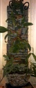 IMAG0688-1-1.jpg