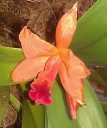 IMAG0801-1.jpg