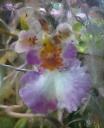 IMAG0825-1.jpg