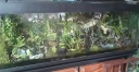 IMAG0826-1.jpg