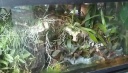 IMAG0828-1.jpg