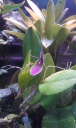 IMAG0883.jpg