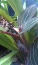 IMAG0886.jpg