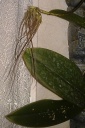 IMAG0935.jpg