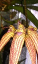 IMAG0964.jpg