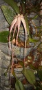 IMAG0965-1.jpg