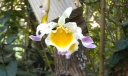 IMAG0991.jpg