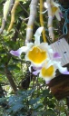 IMAG0992.jpg