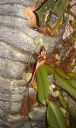IMAG1075.jpg