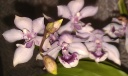 IMAG1110.jpg