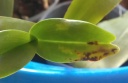 IMAG2143.jpg