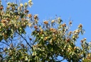 IMG_8599.jpg