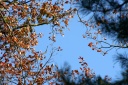 IMG_8603.jpg
