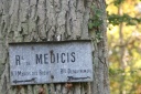 IMG_8607.jpg