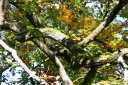 IMG_8626.jpg