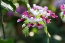IMG_8632.jpg