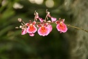 IMG_8733.jpg