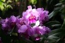 IMG_8786.jpg