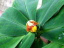image~107.jpg