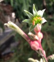 image~115.jpg