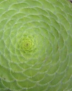 image~117.jpg
