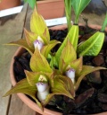 image~124.jpg