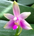 image~136.jpg