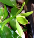 image~141.jpg