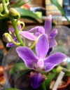 image~151.jpg
