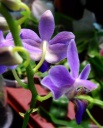 image~152.jpg