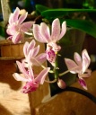 image~160.jpg