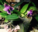 image~164.jpg
