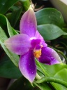 image~167.jpg