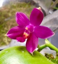 image~172.jpg